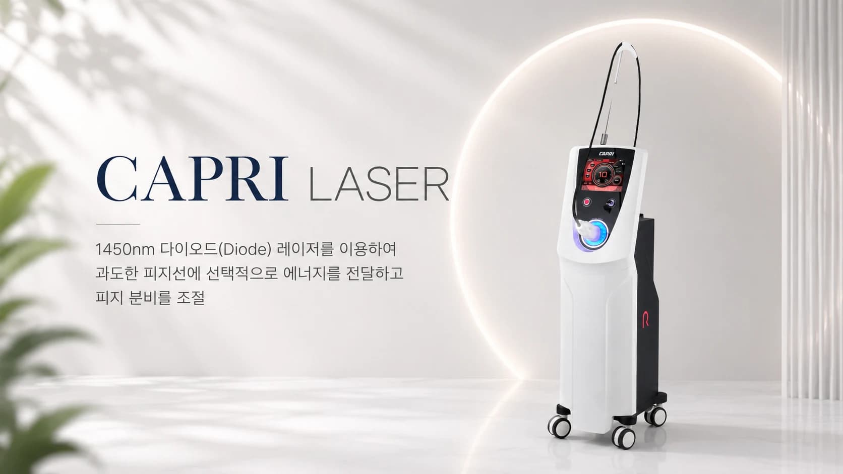 카프리 레이저 썸네일