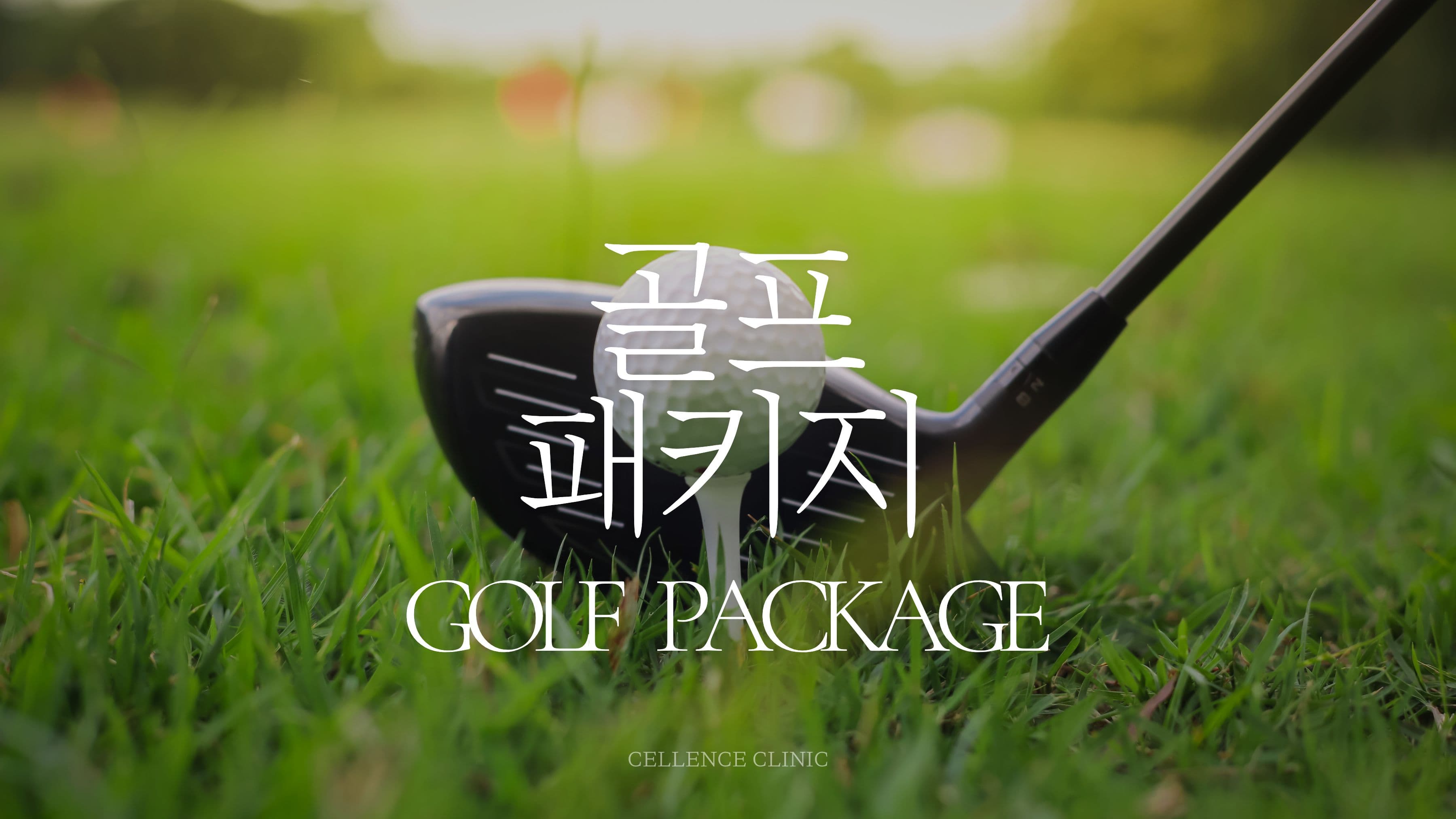 ⛳️ 골프 패키지